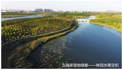 微信图片_20220805152615.png